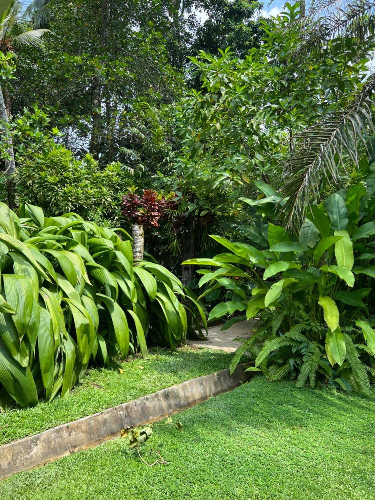 Medusa Bungalow - Galle Dış mekan fotoğraf