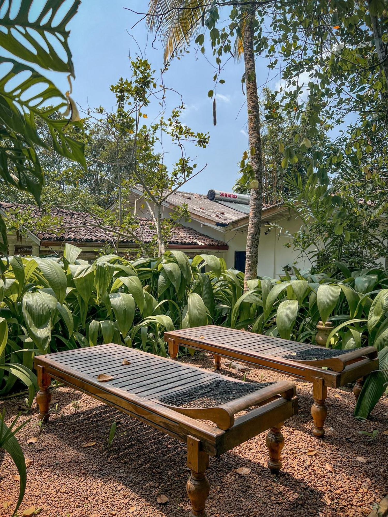 Medusa Bungalow - Galle Dış mekan fotoğraf